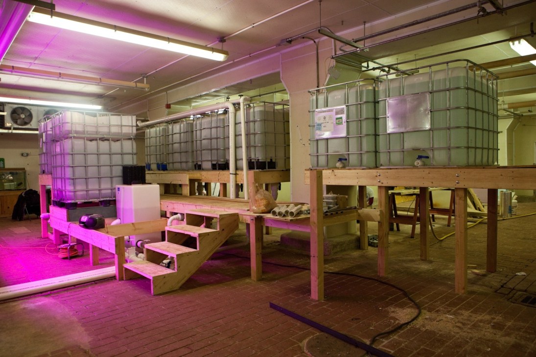 Interior of The Plant in Chicago showing aquaponics fish tanks with magenta lighting and wooden work tables.