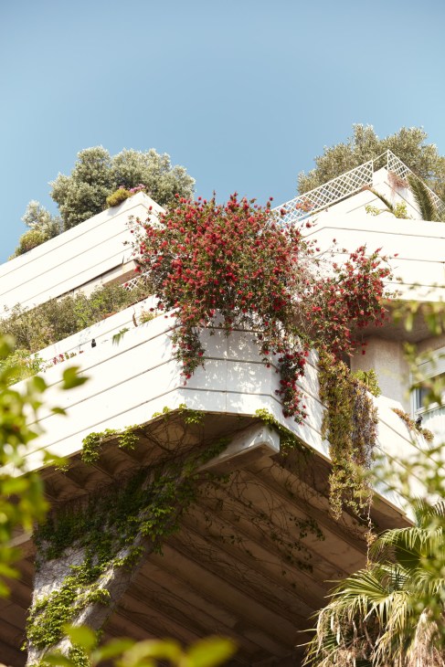 White brutalist apartment building with cascading red flowers and climbing green vegetation on balconies against blue sky.