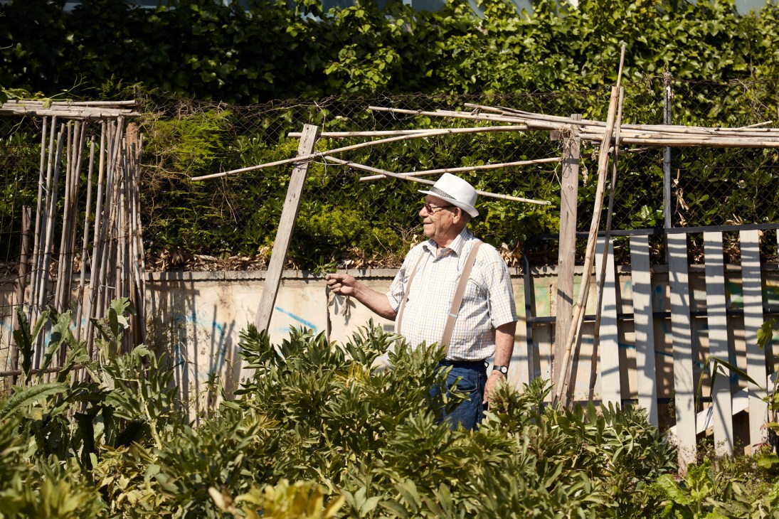 Man in white hat tending vegetables in a wooden-framed garden bed surrounded by lush greenery.