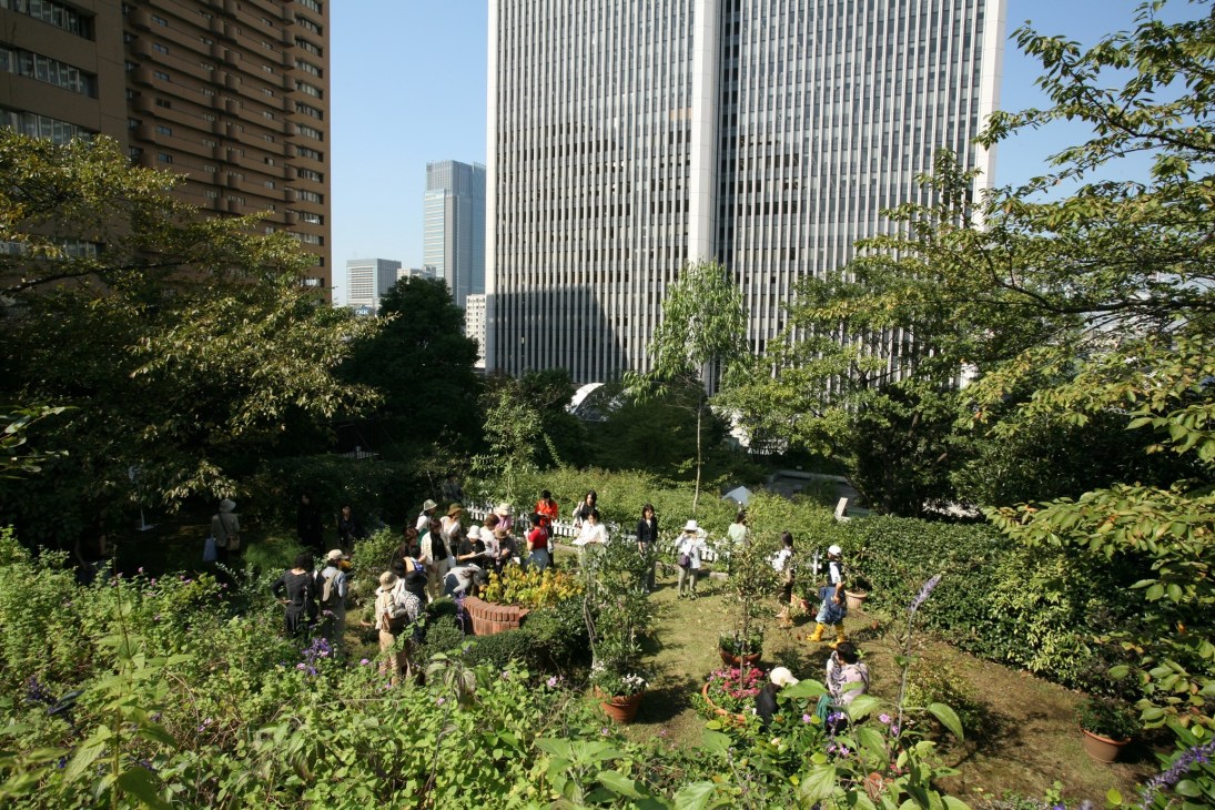 Aerial view of Ark Hills rooftop garden in Tokyo with lush vegetation, trees, and visitors among tall buildings.