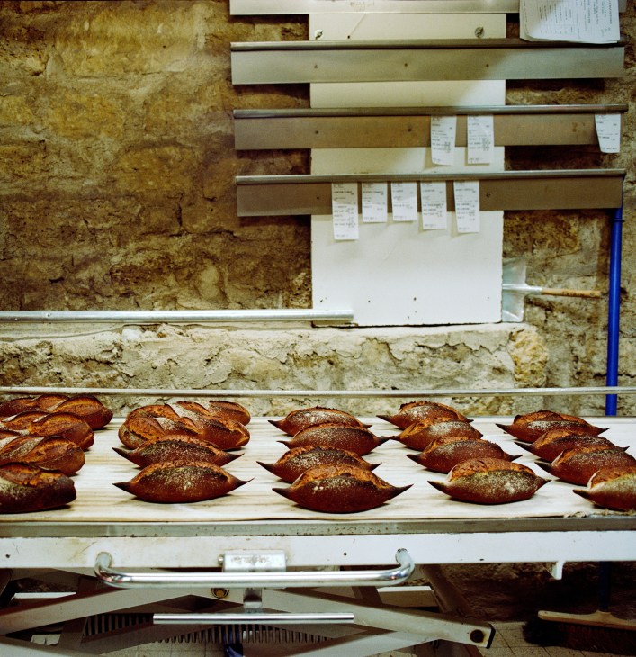 Rows of freshly baked sourdough loaves with golden crusts cooling on wooden shelves in Poujauran's bakery.