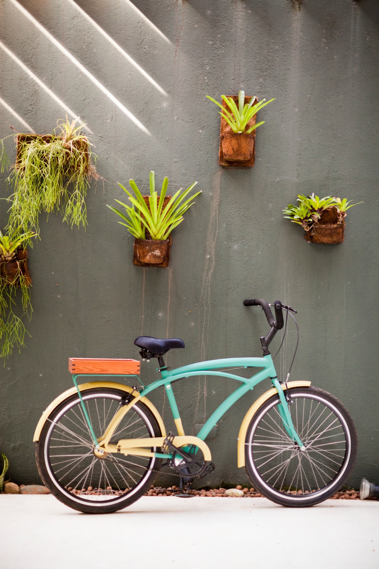Turquoise and cream Itsu bicycle with black saddle leaning against grey wall with potted plants.