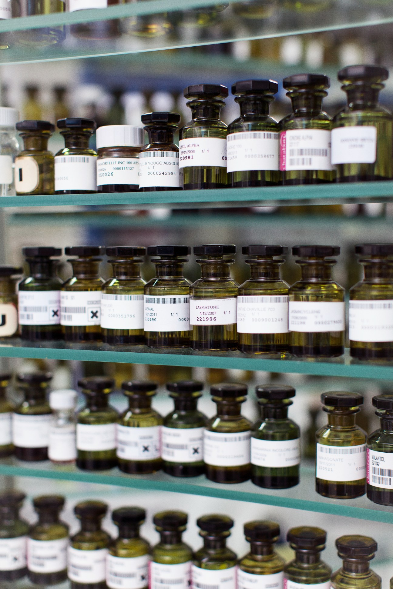 Glass shelves displaying rows of labeled amber bottles containing natural perfume ingredients and extracts.