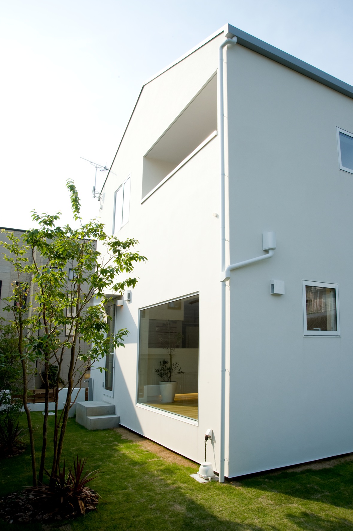 Modern white minimalist house with large windows, clean lines, and small garden courtyard.