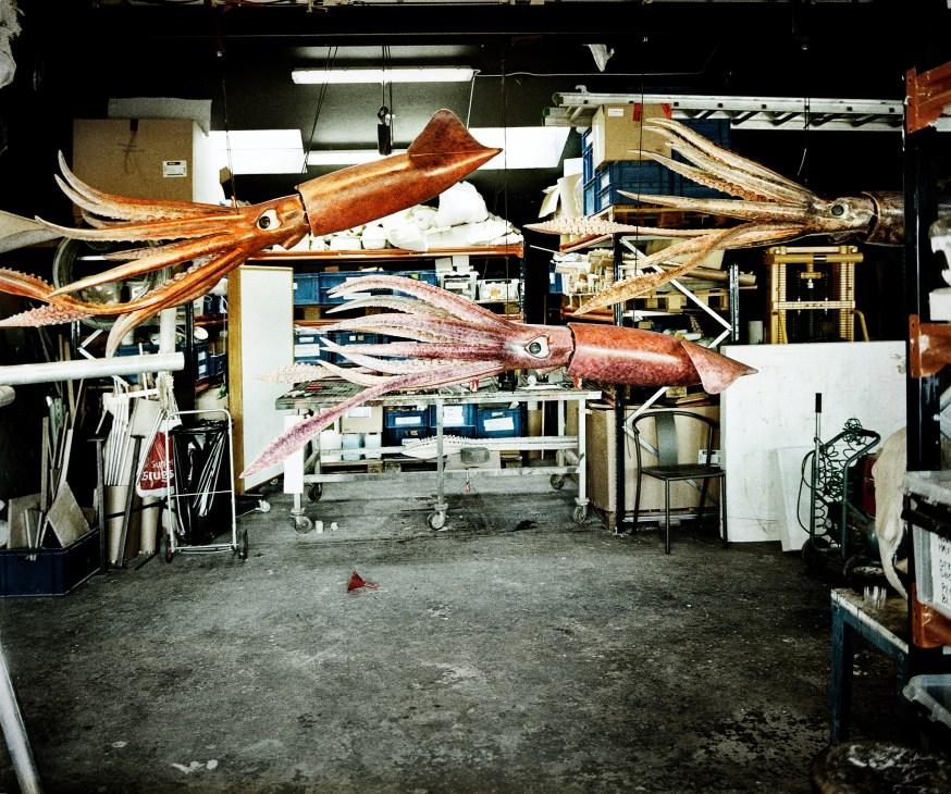 Large-scale models of giant squid suspended in a workshop studio.