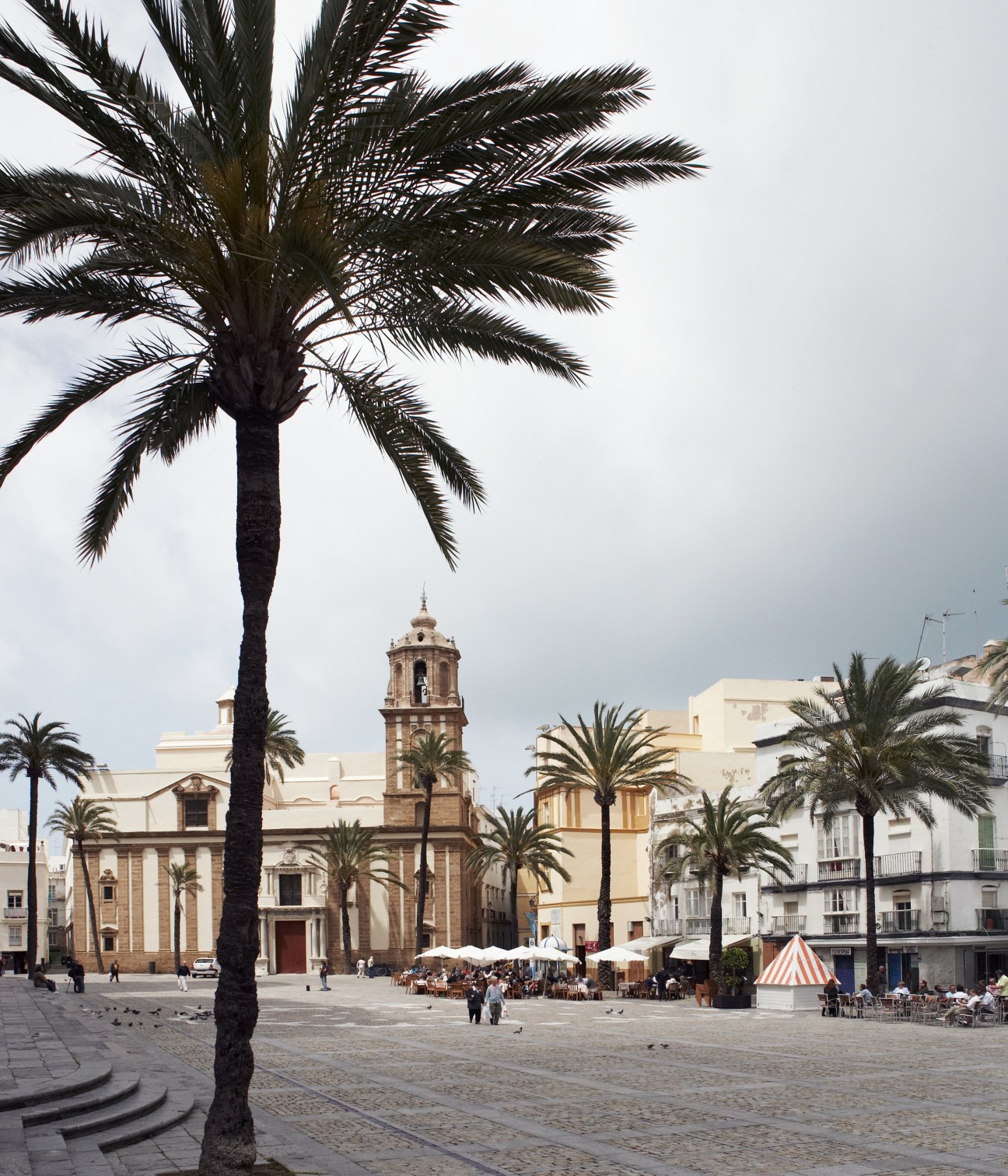 Palm tree and cathedral in Cádiz's historic plaza with white buildings and market stalls.