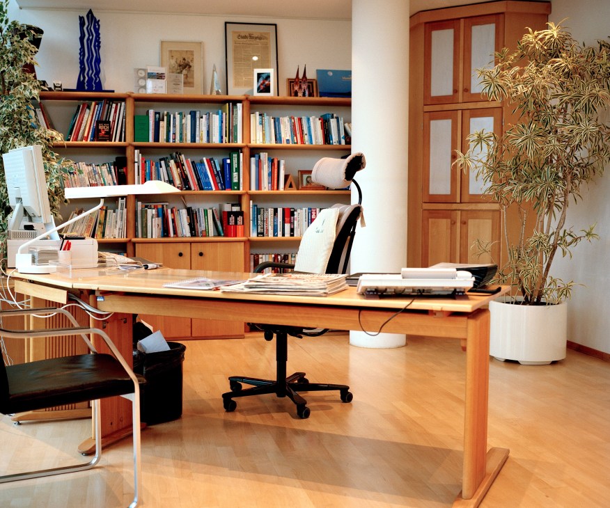 A modern office with wooden desk, bookshelves, computer, and potted plants.