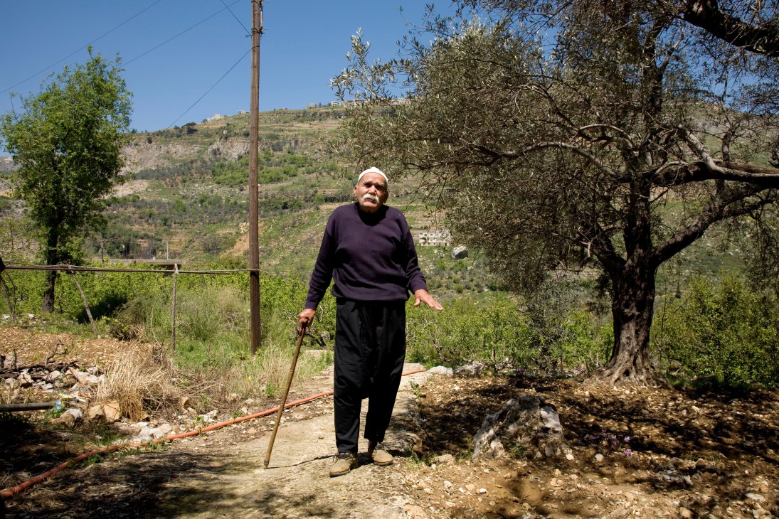 Druze farmer Badih Chaaban standing in an orchard in Rmeileh, Mount Lebanon with olive trees and hillside in background.