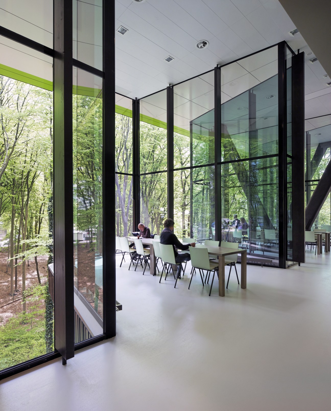 Interior of Groot Klimmendaal rehabilitation centre with floor-to-ceiling windows overlooking forest, featuring modern furniture and green accent bands.