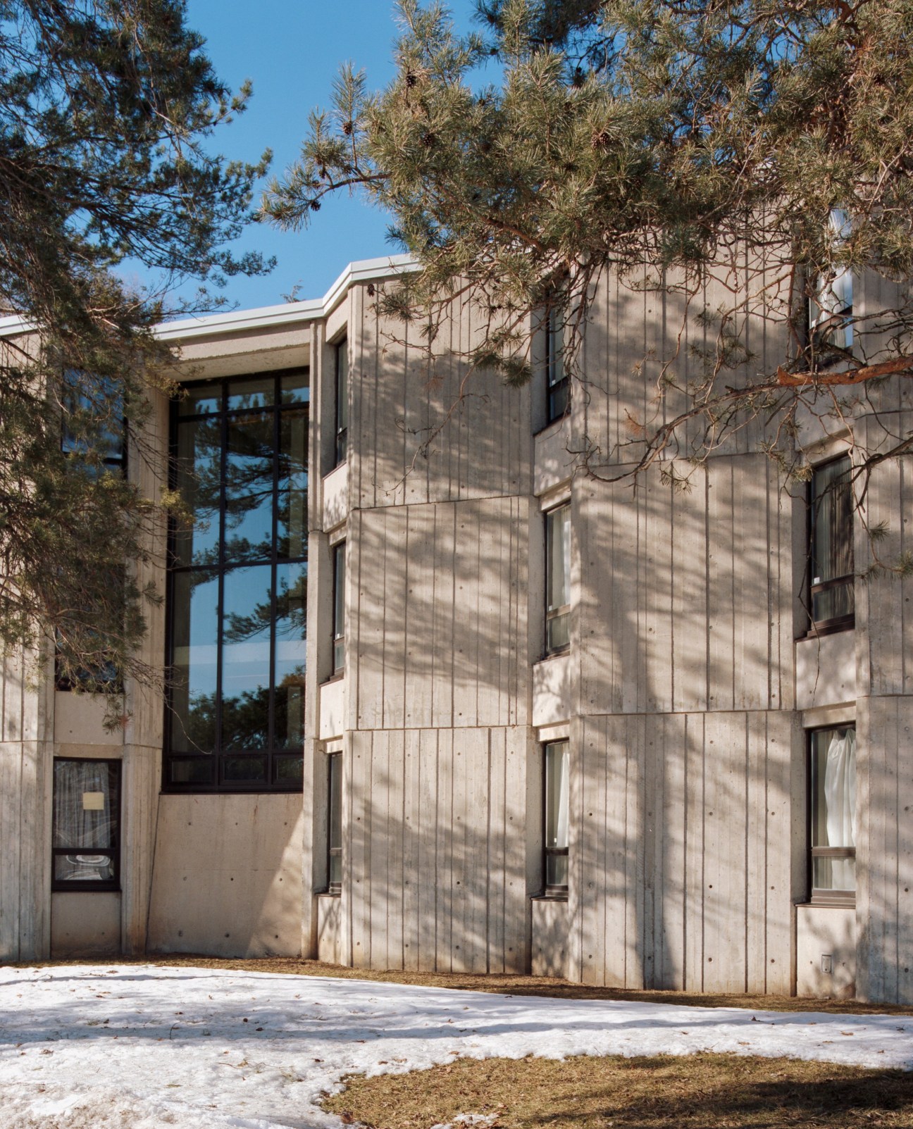 Concrete modernist building with vertical lines and large windows, framed by evergreen tree branches.