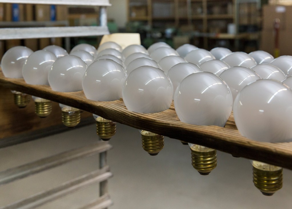 Row of frosted incandescent light bulbs with brass bases lined up for inspection at Righi Licht factory.