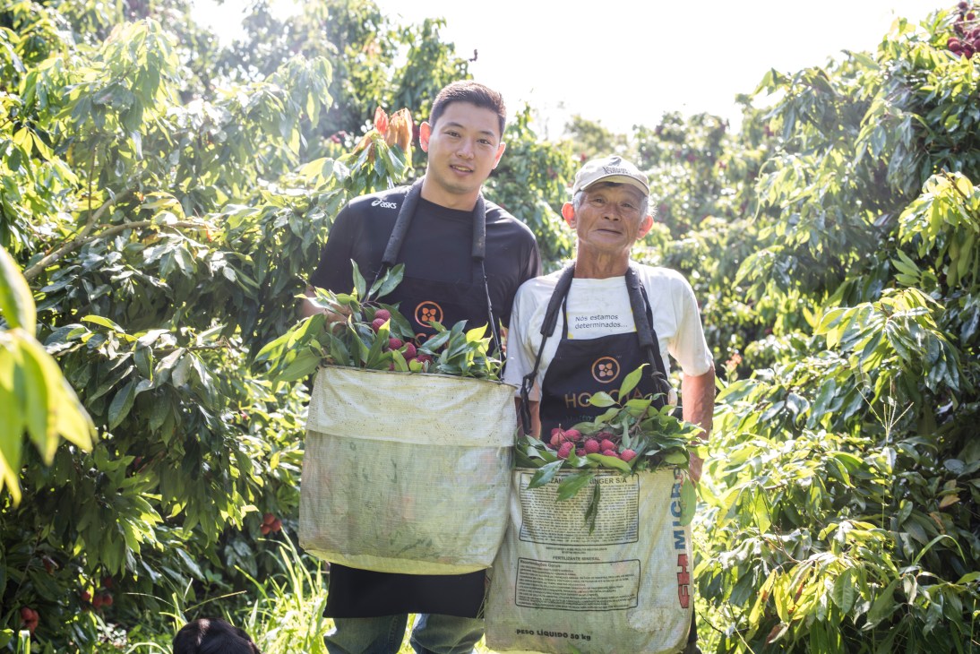 Ercílio Hoçoya and his father harvesting lychees on their farm in Mogi das Cruzes, Brazil.