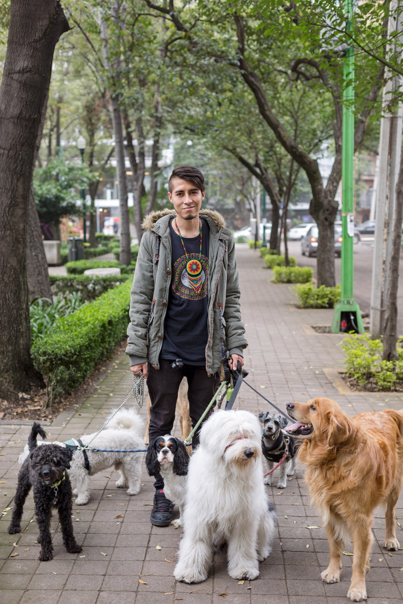 Dog walker Javier Medina walks multiple dogs on a tree-lined street in Polanquito, Mexico City.