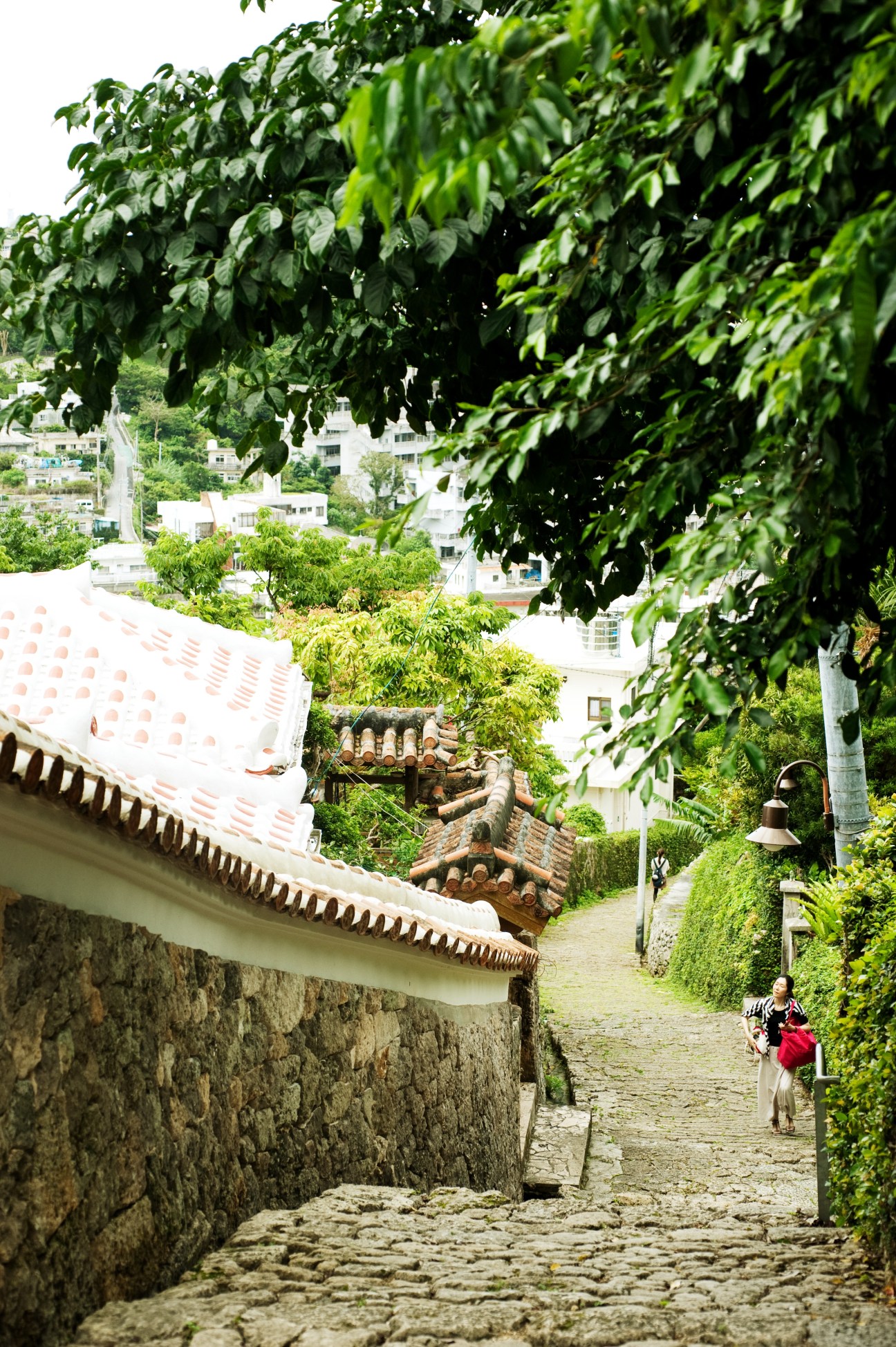 Cobbled street lined with stone walls and lush green vines, with traditional Okinawan architecture and modern buildings visible beyond.
