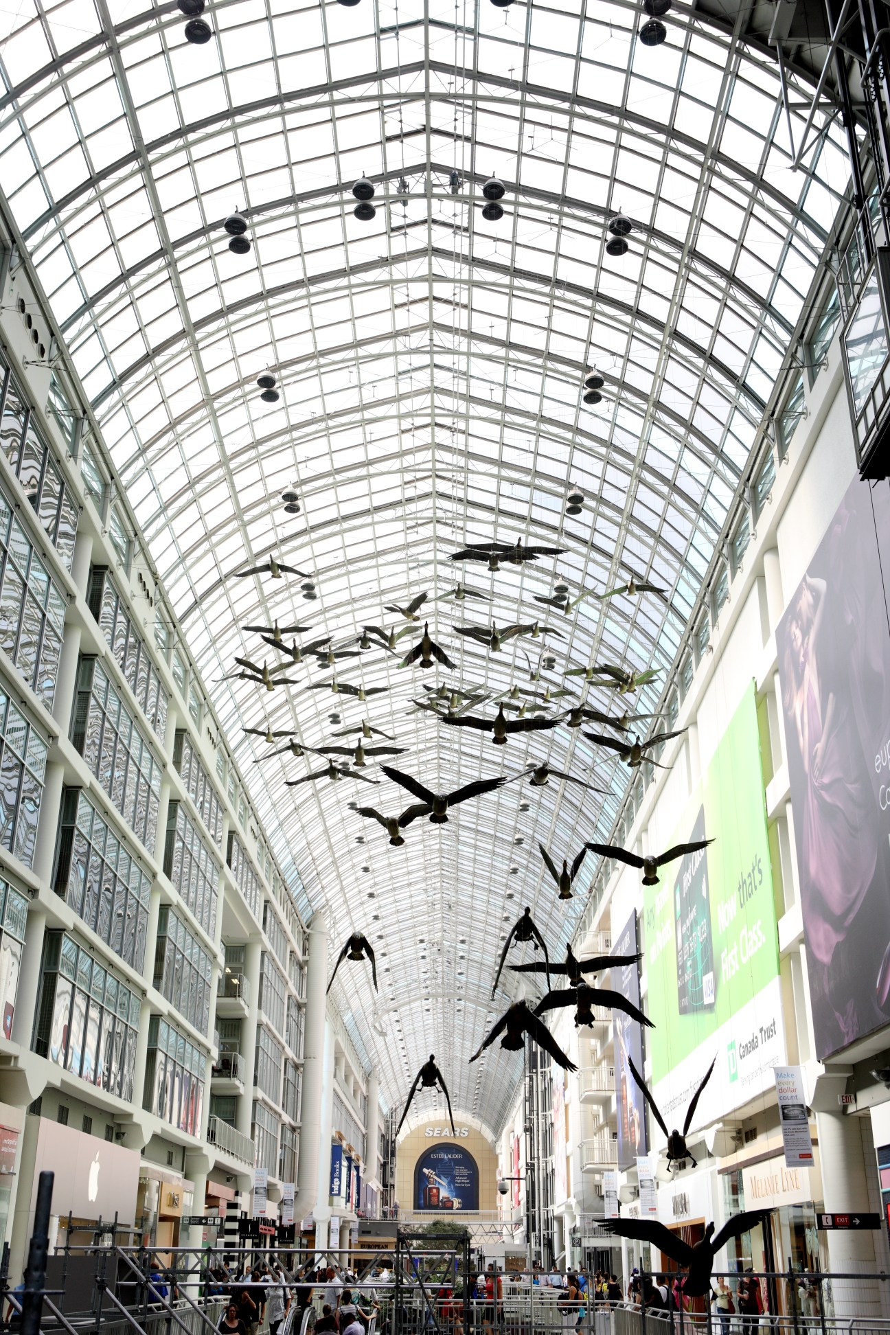 Interior of Eaton Centre shopping mall with glass roof and suspended bird sculptures.
