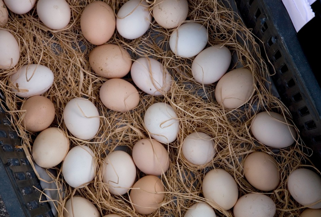 Organic eggs nestled in straw at Souk el Tayeb farmers' market in Beirut.
