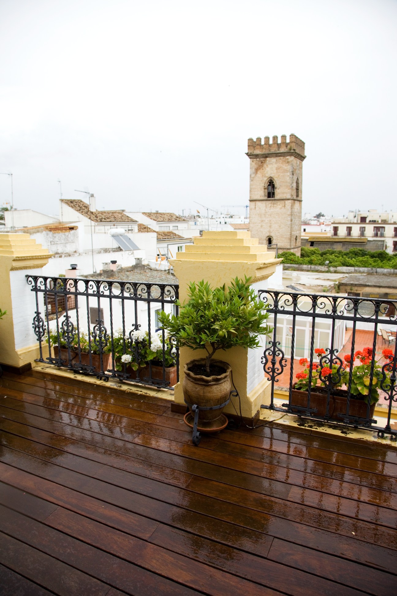 A wet roof terrace with potted plants, decorative railings, and a view of Seville's historic architecture including a crenellated tower.