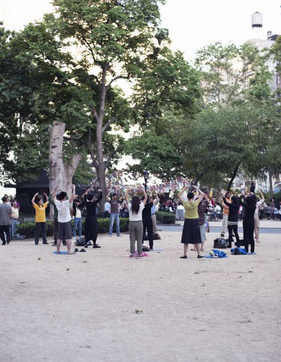 A group of people practicing Tai Chi in Madison Square Park, surrounded by large trees and historic buildings.