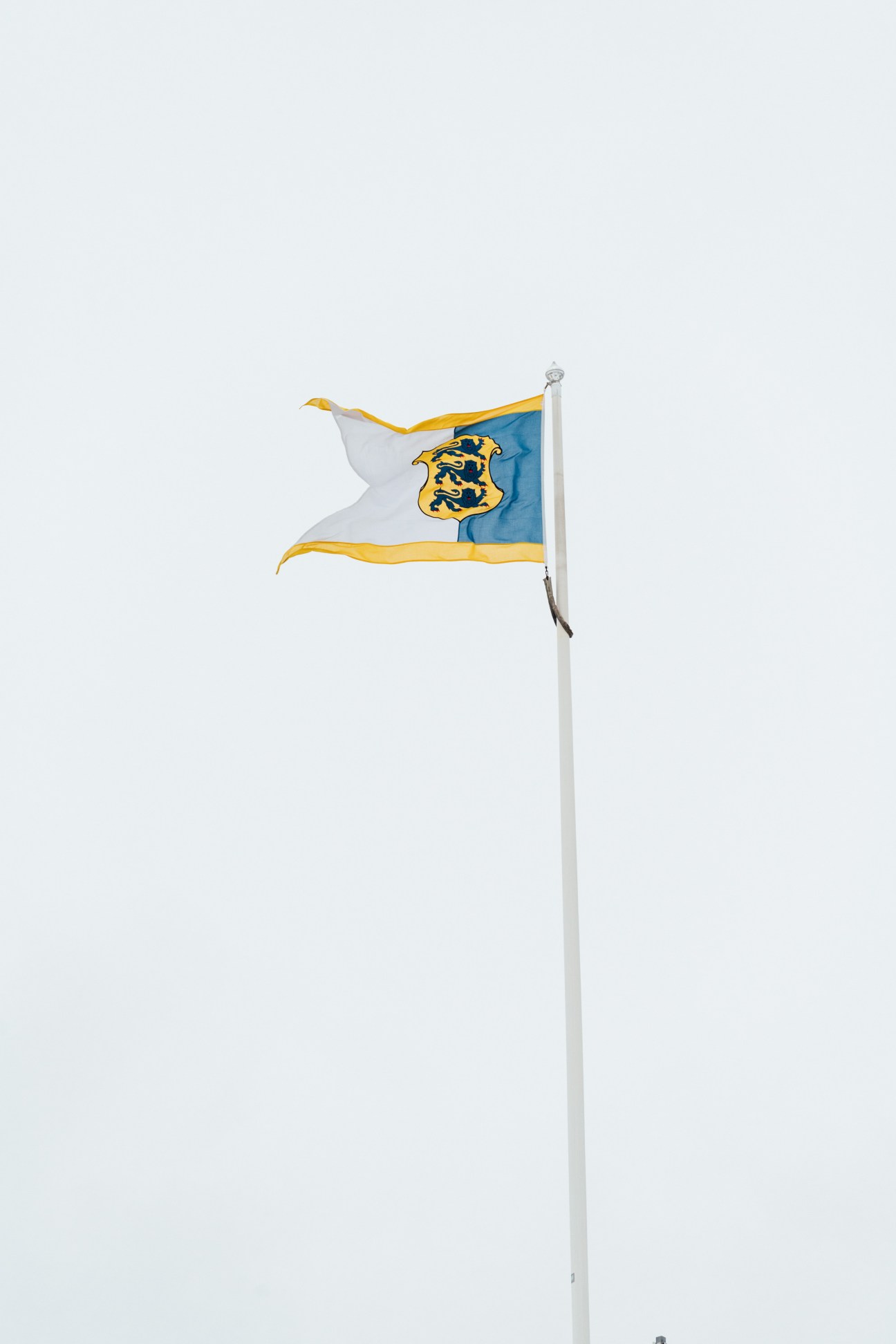 Estonian flag with blue, black and white stripes and yellow lion coat of arms flying on a pole.