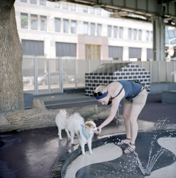 Woman in swimwear playing with a small white dog at a dog park along the East River waterfront.