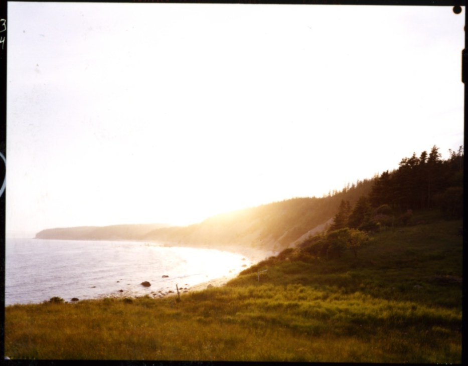 Sunset view of the Atlantic Ocean with forested cliffs and rocky shoreline in Nova Scotia.