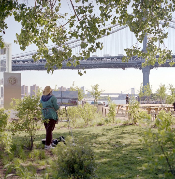 Person standing in green space overlooking Manhattan bridges and skyline at Brooklyn Bridge Park.