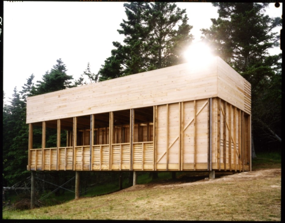 Completed wooden upper house with large windows and minimal cladding set among evergreen trees in Nova Scotia.