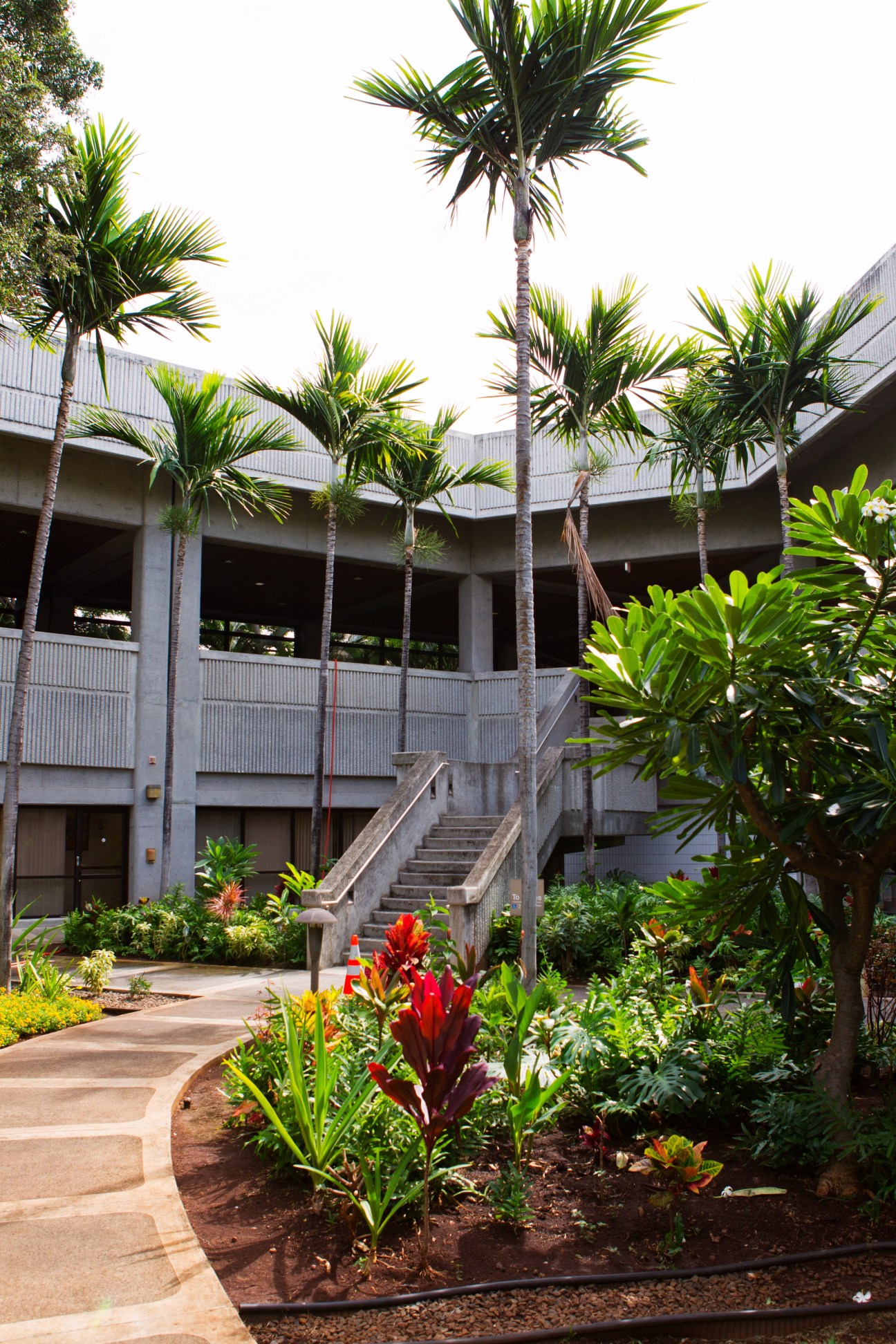 Honolulu Airport's open courtyard with tropical plants, palm trees, and modernist concrete architecture.