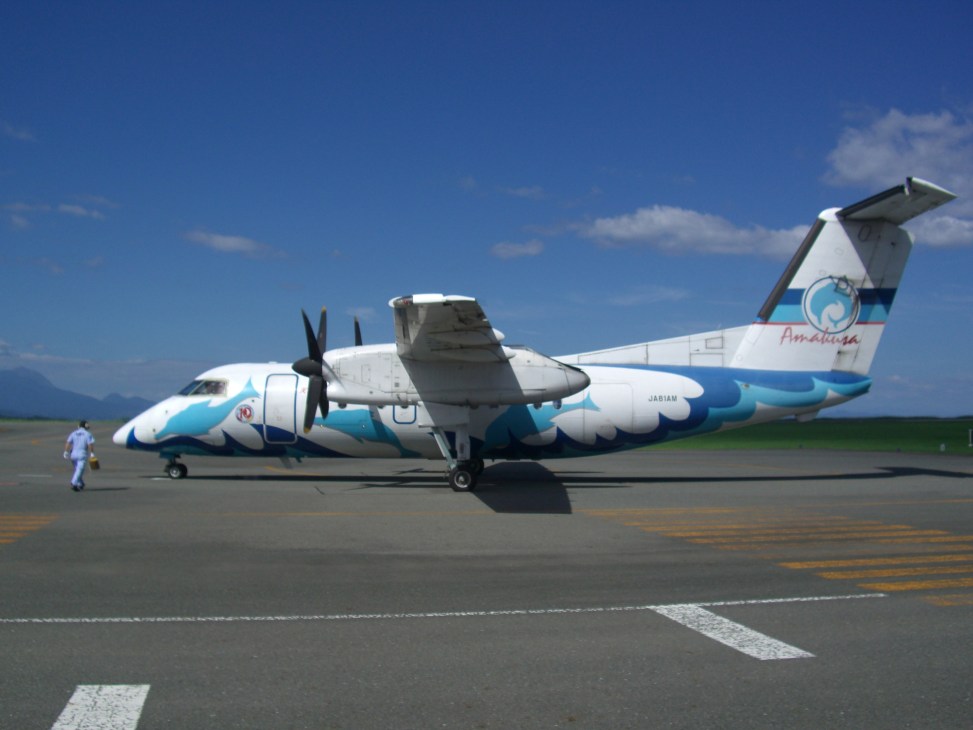 Amakusa Airlines' white and blue de Havilland DHC-8-103 aircraft with dolphin livery on the tarmac.