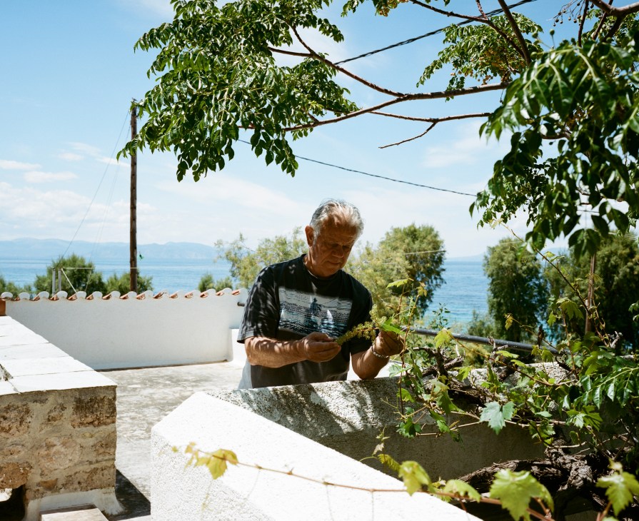 Agis Criticos tends to plants on his terrace overlooking the sea in Aegina, Greece.