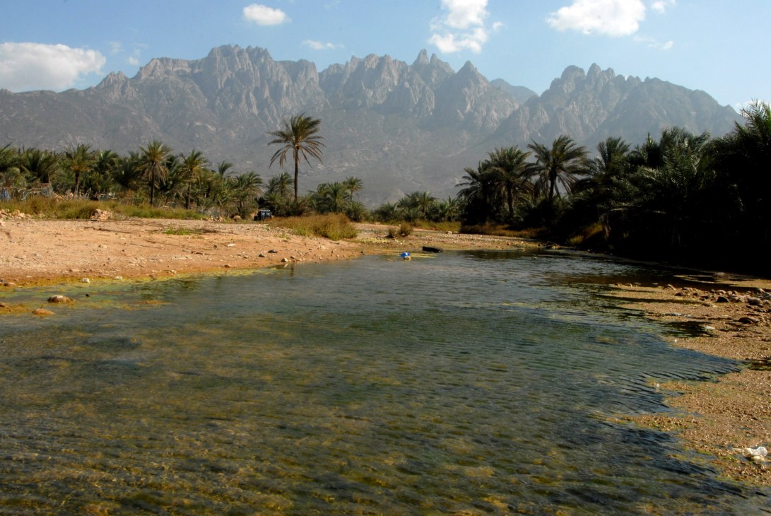 A river flowing through a palm-lined valley with dramatic jagged mountains in the background under blue sky.
