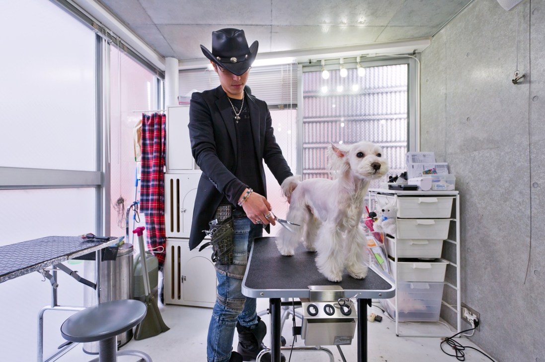 Dog groomer Hiromi Nozaki wearing a black cowboy hat styling a white Yorkshire terrier named Chuto on a grooming table.
