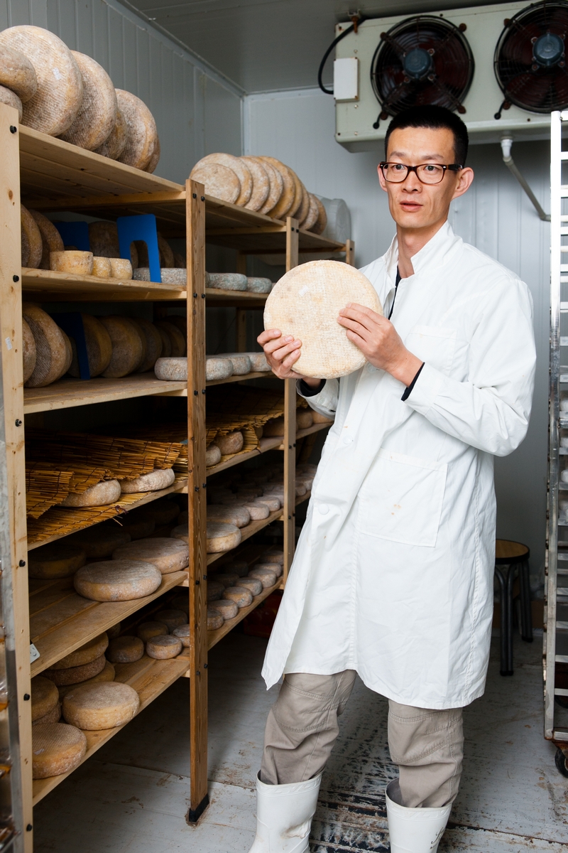 Man in white coat holding a round cheese wheel in a temperature-controlled aging room with wooden shelves of maturing cheeses.