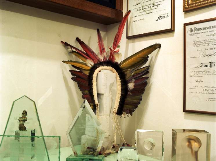 A decorative headdress with red and brown feathers displayed on a mannequin head, surrounded by framed certificates and awards on a clinic shelf.