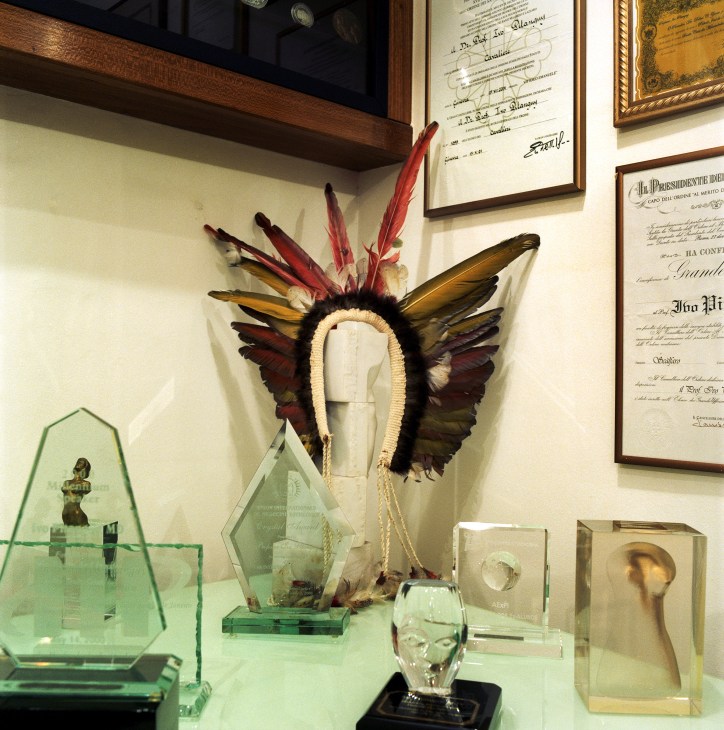 A decorative headdress with red and brown feathers displayed on a mannequin head, surrounded by framed certificates and awards on a clinic shelf.