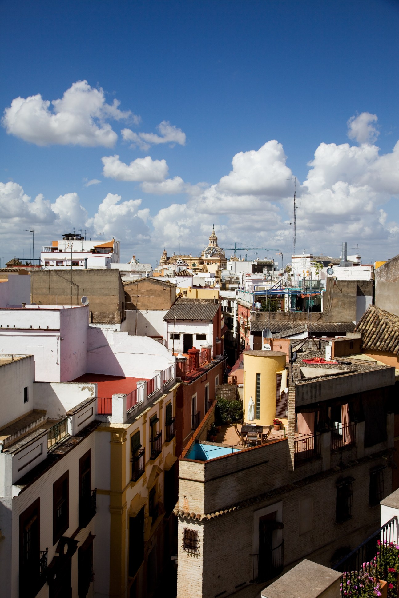 Colorful rooftops of Alameda district in Seville with buildings, terraces, and cathedral dome visible under blue sky.