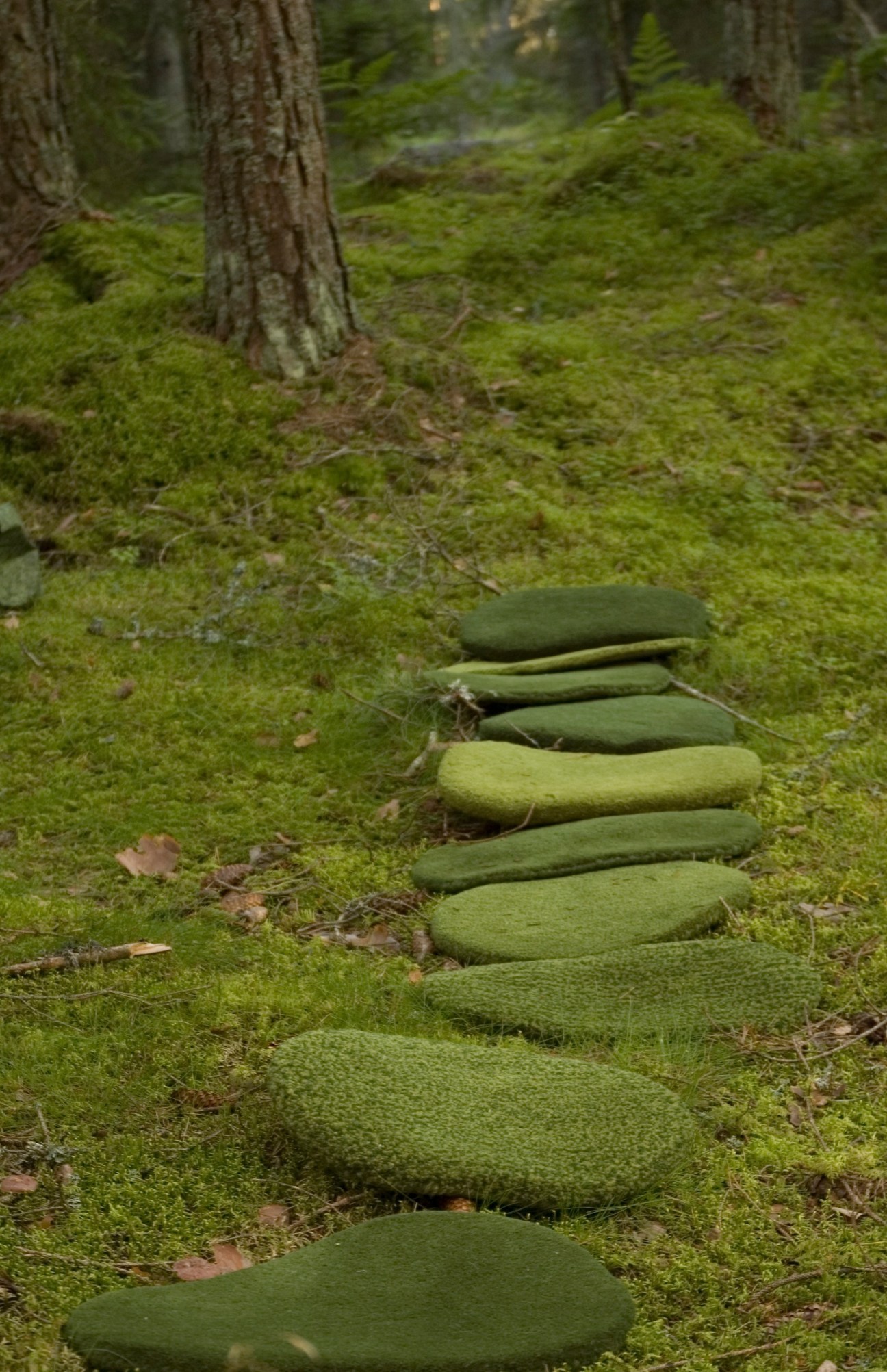 Moss-covered stepping stones wind through a verdant forest floor at Urnatur eco-lodge in Sweden.