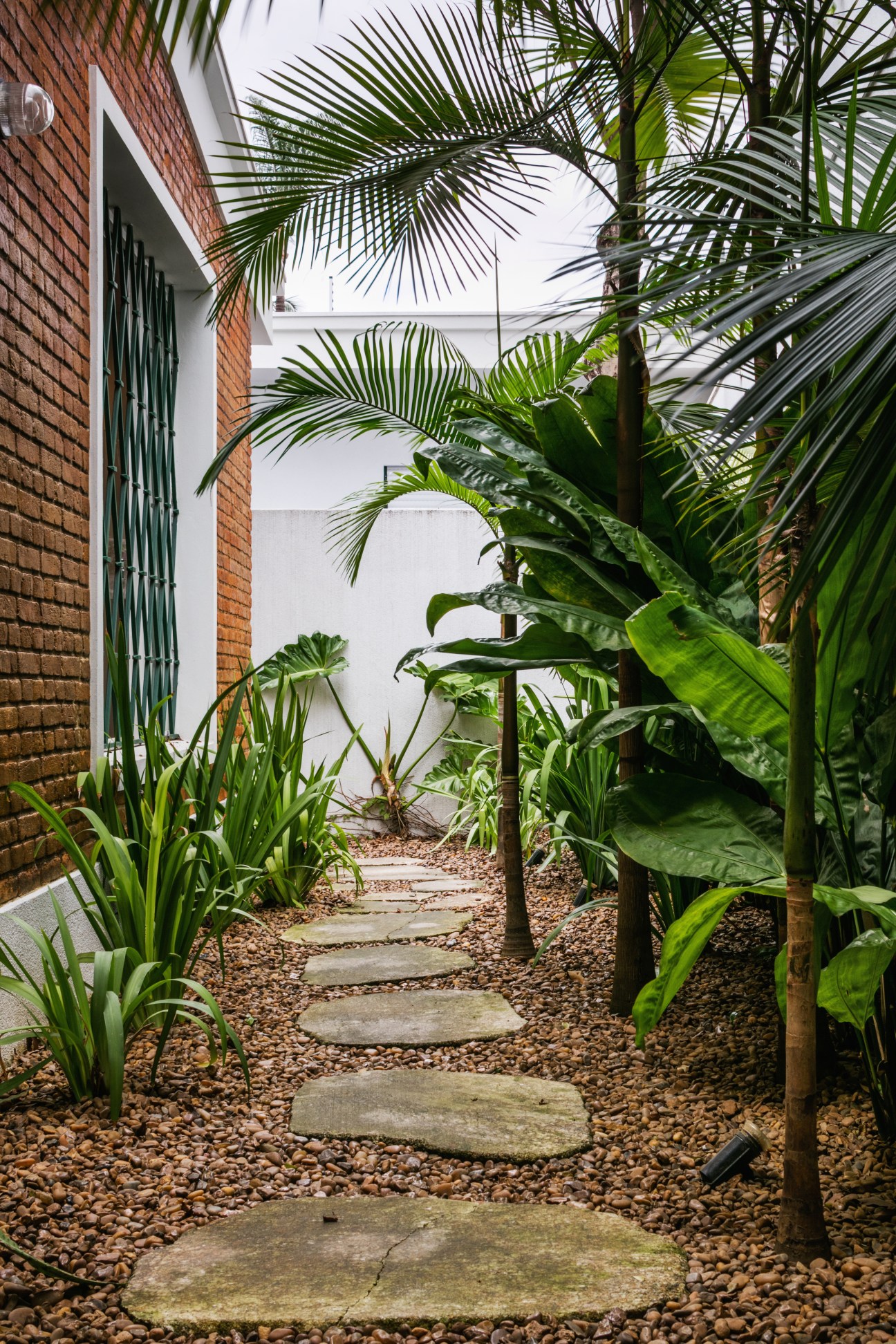 Stone stepping stones path through lush tropical garden with palm trees and banana plants