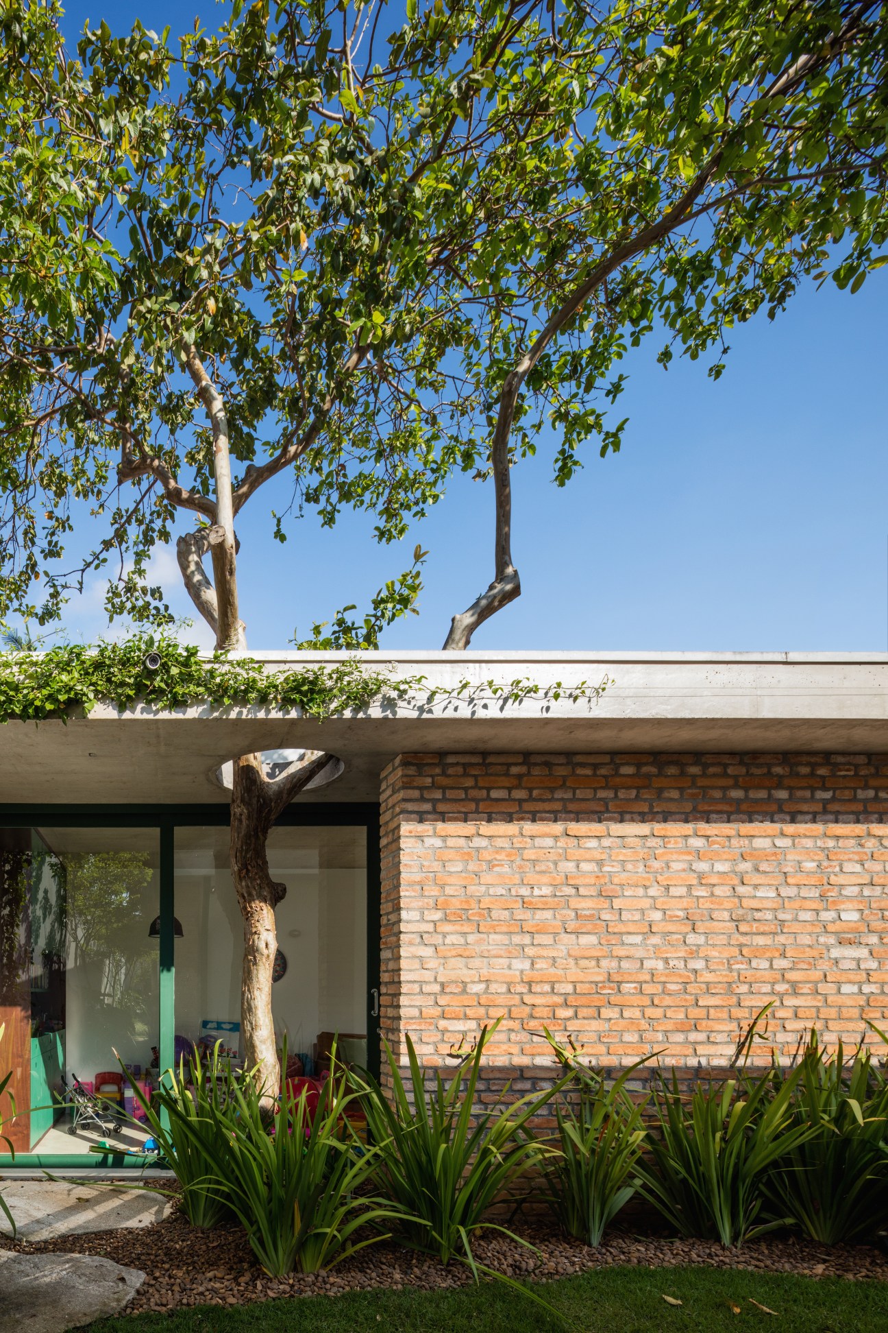 Modern playroom with concrete roof and brick wall featuring a guava tree growing through circular opening