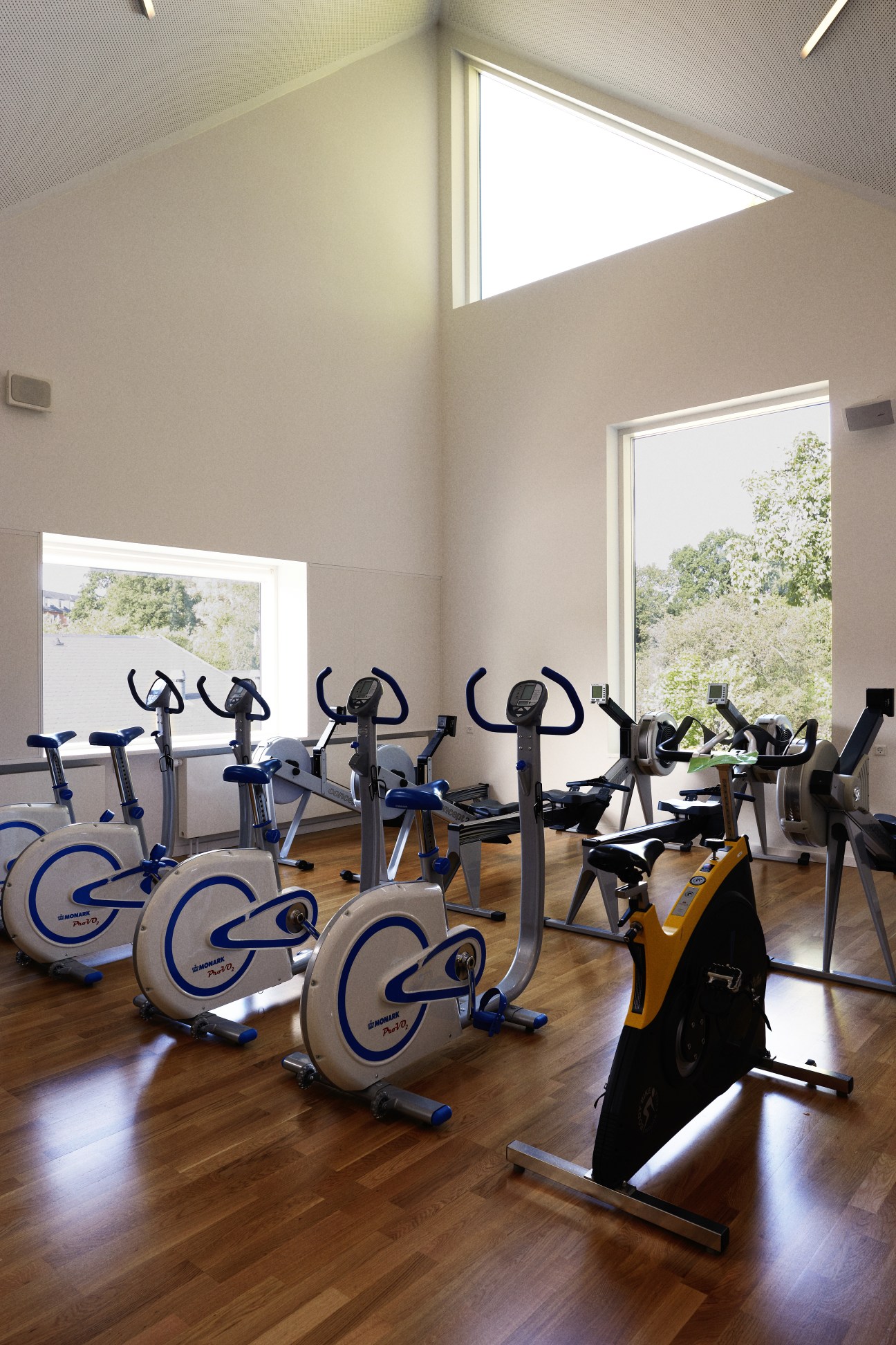 Bright gym with stationary bikes and exercise equipment arranged on a wooden floor with large windows overlooking greenery.