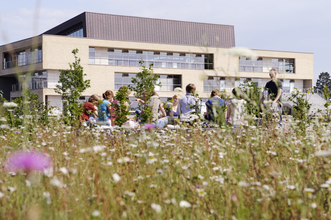 AP Møller School building with cream brick facade viewed across wildflower meadow with students in foreground.