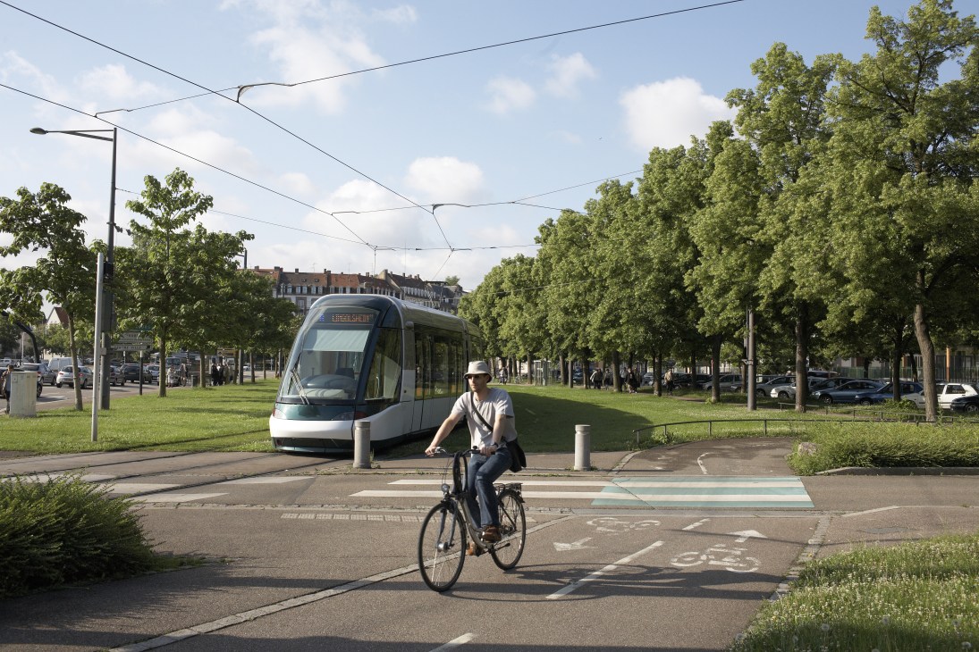 Cyclist riding on path next to modern tram in tree-lined Strasbourg street.