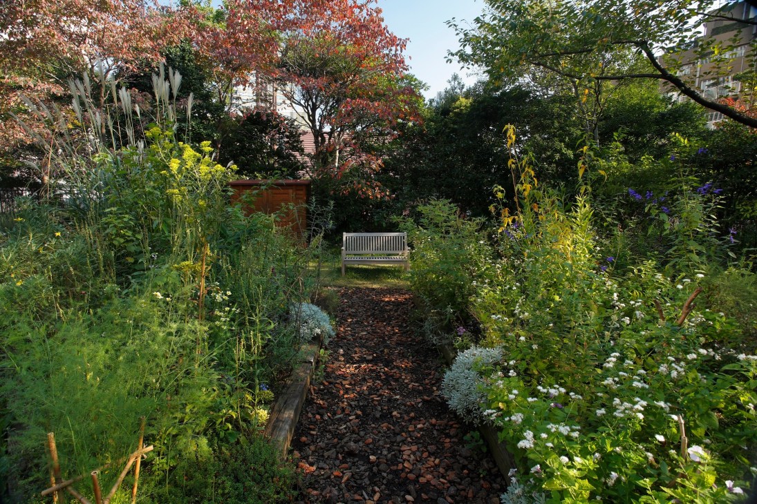 Lush rooftop garden at Ark Hills in Tokyo with diverse plants, flowers, and a white bench surrounded by trees.