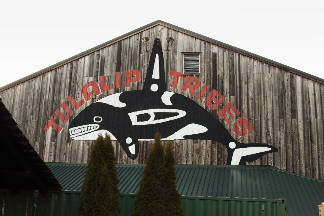 Tulalip tribal emblem featuring an orca whale painted on a wooden building exterior.