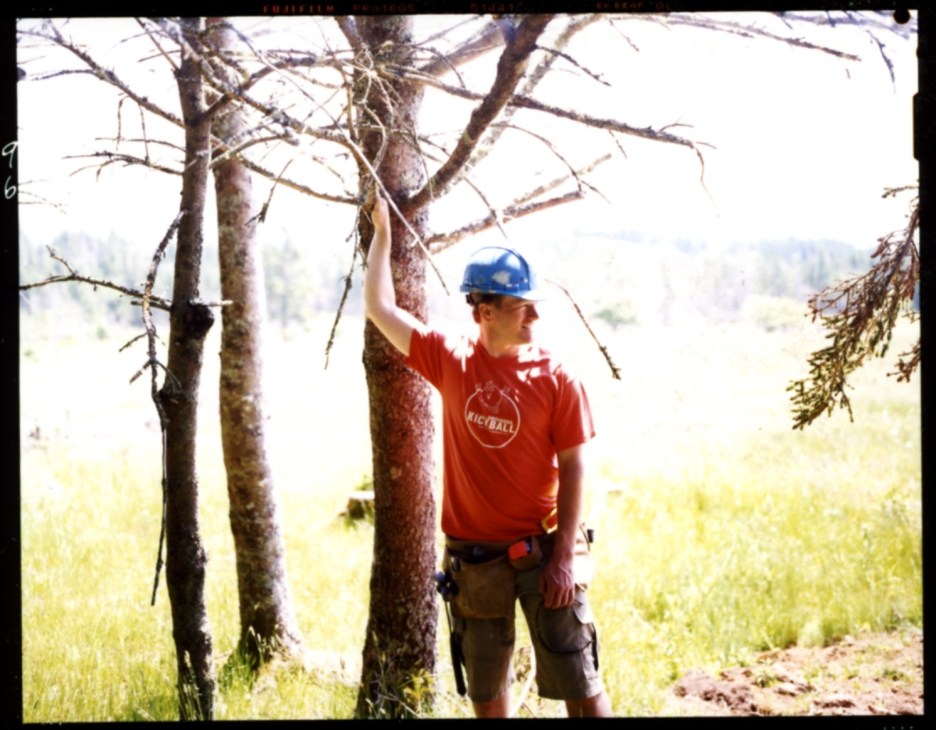 Architect Brian Park wearing a blue hard hat and red shirt stands beneath bare tree branches in a forest clearing.