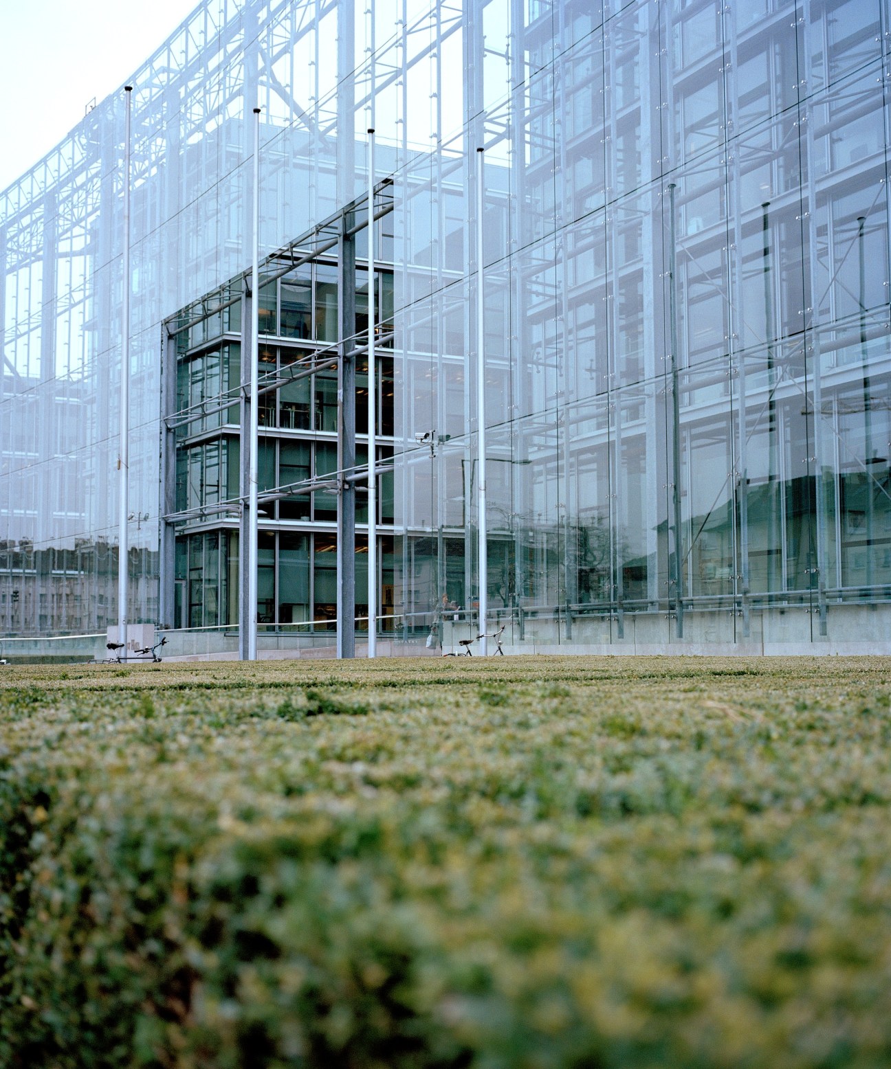 Modern steel and glass headquarters building with angular architectural design set behind manicured hedges.