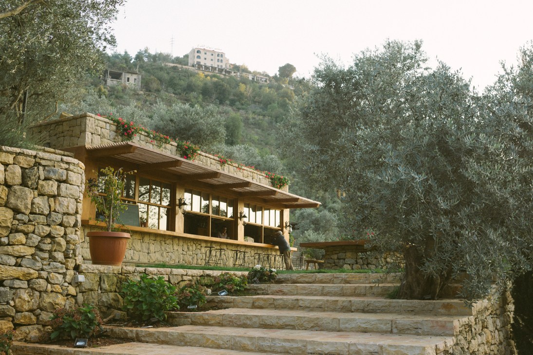 Stone building with large windows overlooking olive groves and Mediterranean hillside landscape.