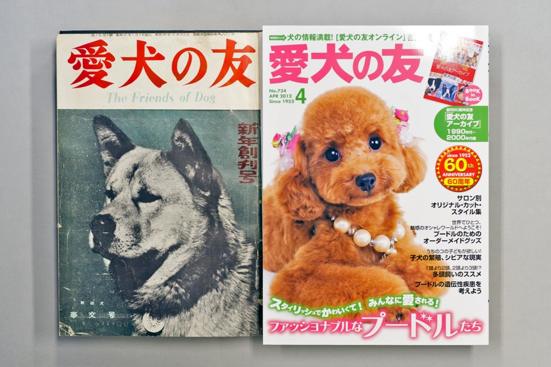 Two issues of 'Aiken no Tomo' dog magazine displayed side by side, showing the publication's evolution over 60 years.