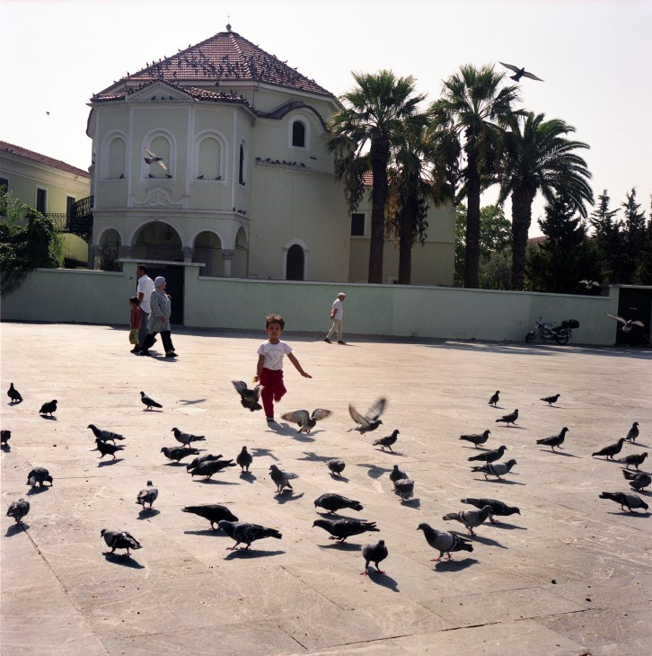 Child running among pigeons in a plaza in front of a white domed building with palm trees in Çesme, Turkey.