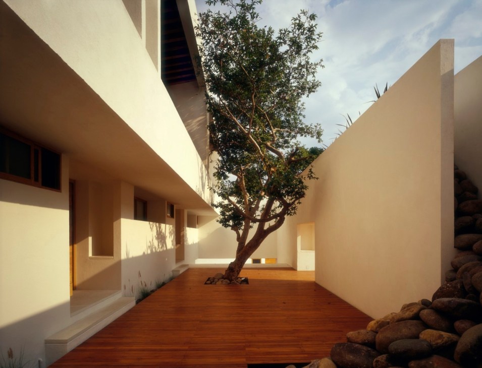Modern L-shaped housing with cream walls, wooden deck, and mature tree growing through courtyard.